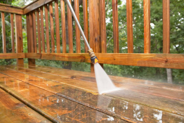 Best Roof Cleaning and Mildew Removal in Blue Ridge, TX